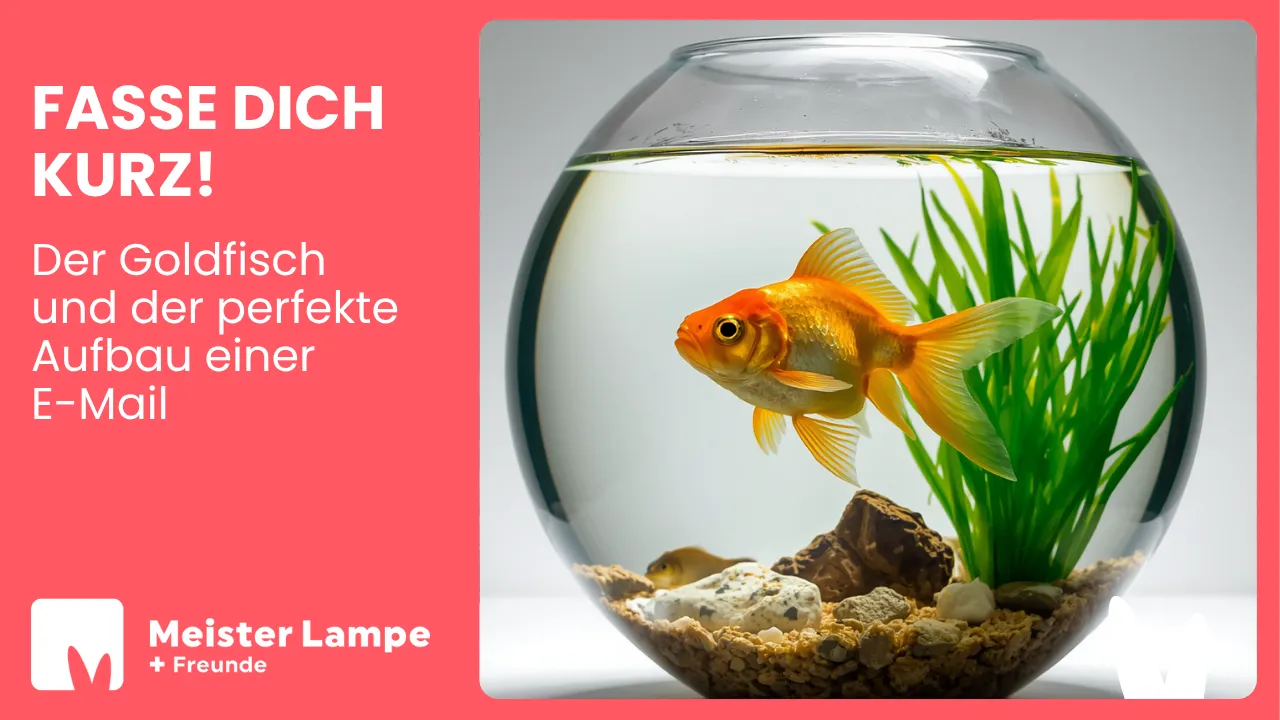 Symbolbild zum Thema E-Mail-Aufbau und Copy